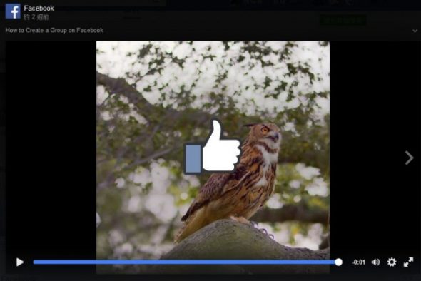 facebook-video-ad