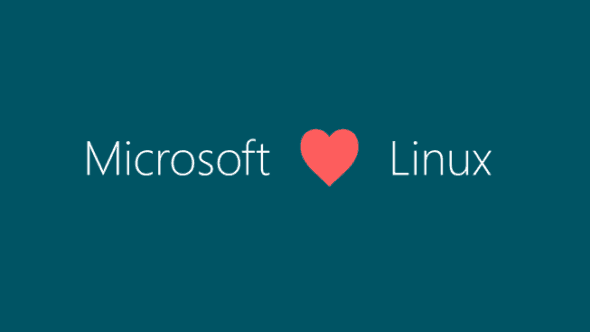 ms-linux